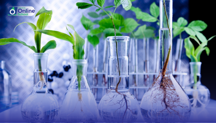Lesson 23: Example of Epistasis in Mammals and Plants with Justification of Modified Mendelian Ratios